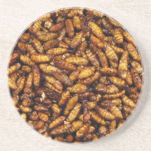 Fried Silk Worms ... Thai Street Food Coaster