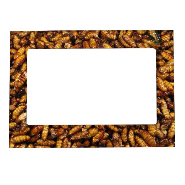 Fried Silk Worms ... Thai Street Food Magnetic Photo Frame (Front)