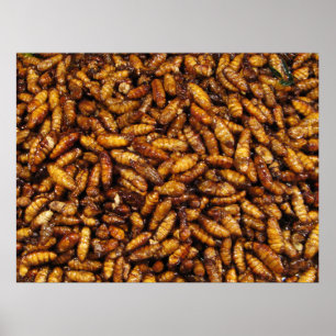 Fried Silk Worms ... Thai Street Food Poster