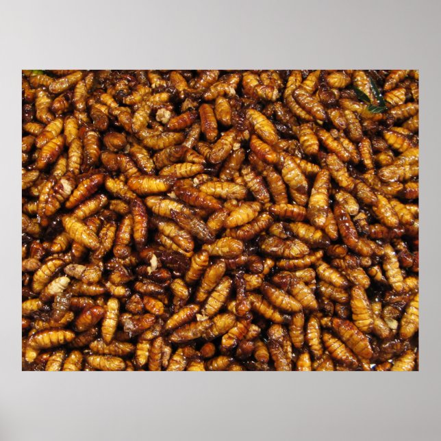 Fried Silk Worms ... Thai Street Food Poster (Front)