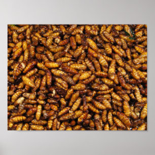 Fried Silk Worms ... Thai Street Food Poster