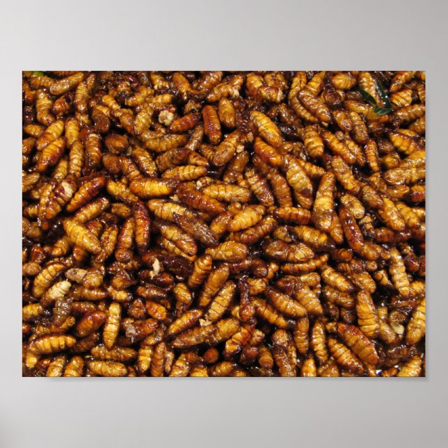 Fried Silk Worms ... Thai Street Food Poster (Front)