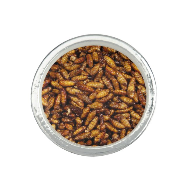 Fried Silk Worms ... Thai Street Food Ring (Front)