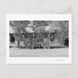 Frieght Wagon Scene Postcard