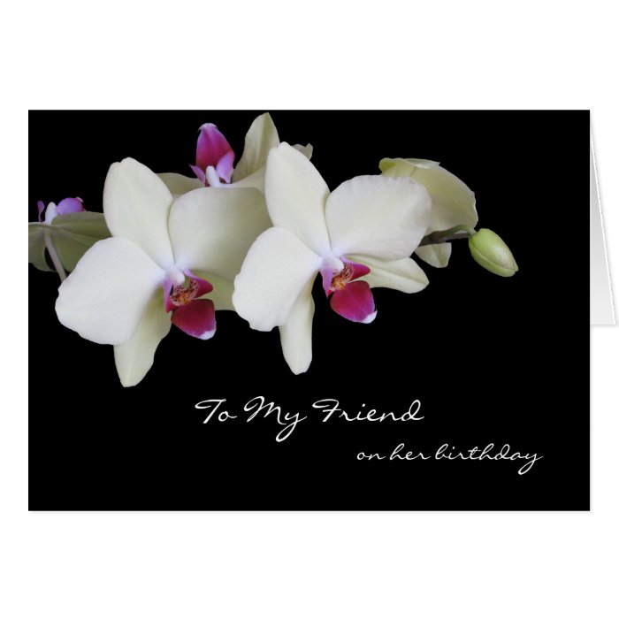 Friend Birthday Card     Orchids