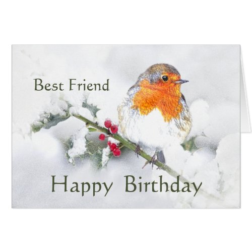 Friend Birthday English Robin Pretty Garden Bird