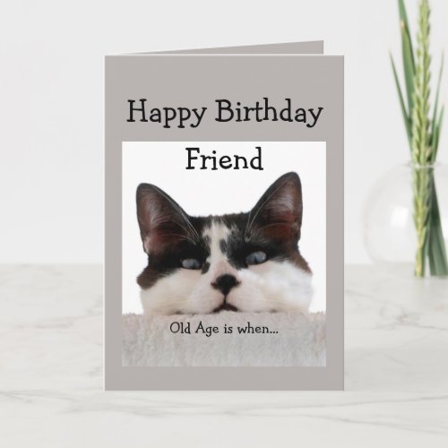 Friend Birthday Old Age Over the Hill Cat Humor Card