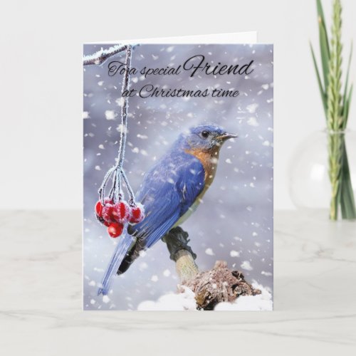 Friend Bluebird In The Snow Winter Holiday