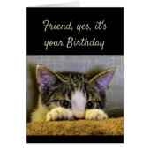 Friend can't Hide It's your Birthday Cute Kitten (Front)