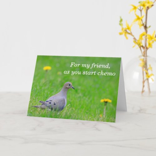 Friend Chemo Dove Cancer  Card