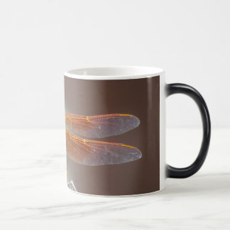 Friend Color Morph Mug