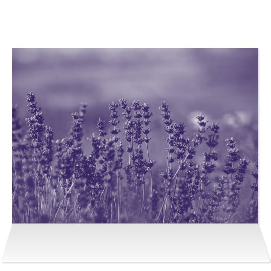 Friend Encouragement, We Will be Friends Forever (Inside Horizontal (Top))