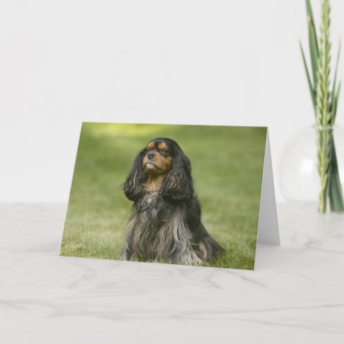 Friend Like You Cavalier King Charles Spaniel Card