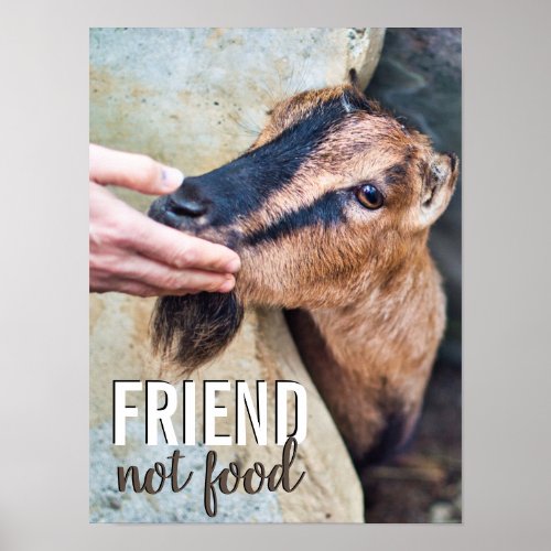 Friend not food vegan stop animal cruelty w goat poster