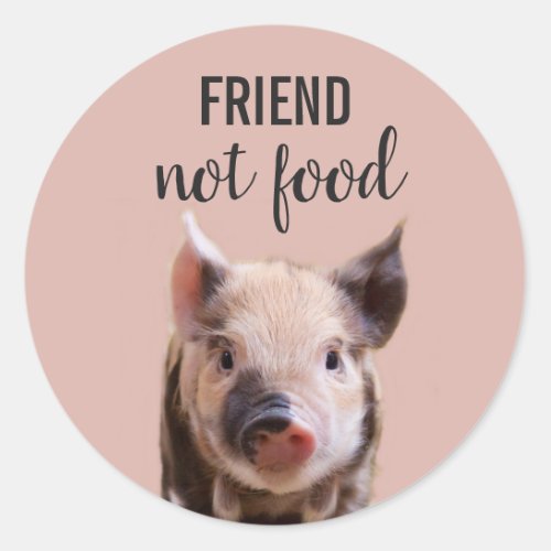 friend not food with cute piglet vegan classic round sticker