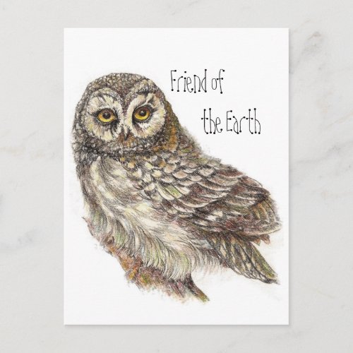Friend of the Earth Earth Day Owl Bird Postcard