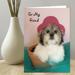 Friend Puppy Birthday Card