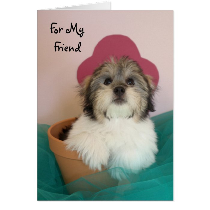 Friend Puppy Birthday Card