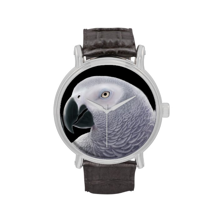 Friendly African Gray Parrot Watch