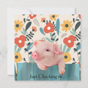 Friendly Baby Pig   Cute Baby Animal