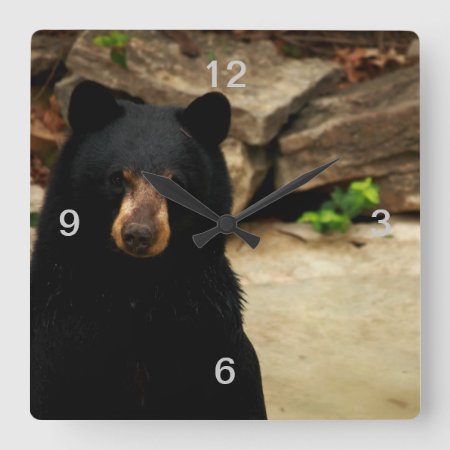 Friendly Black Bear Wall Clock