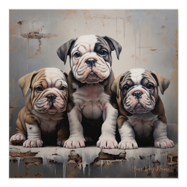 Friendly Bulldog Puppy Dogs  004 - Raimon Paladino Poster (Front)