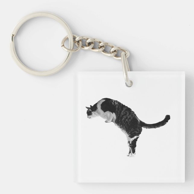 Friendly Cat Key Keychain (Front)