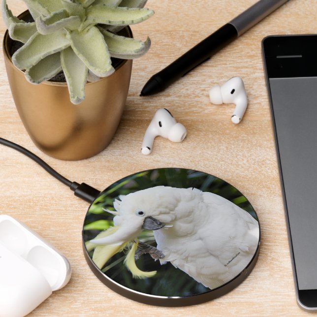 Friendly Cockatoo Parrot Bird Waves at Paparazzi Wireless Charger (Desk 2)