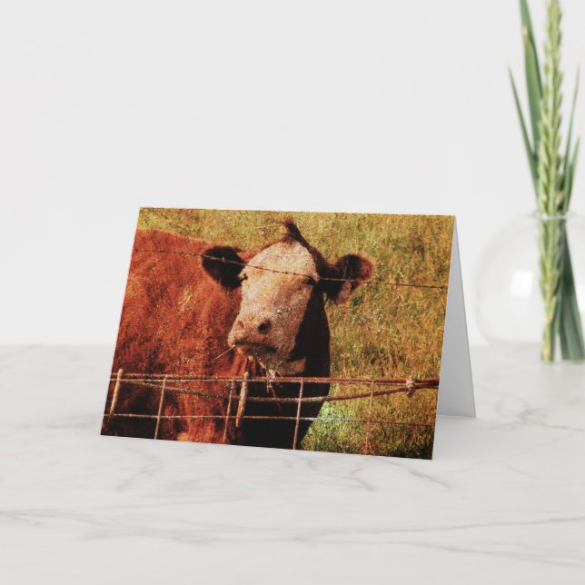 Friendly Cow, Father's Day Card (Front)