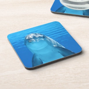 Friendly Dolphin Coaster
