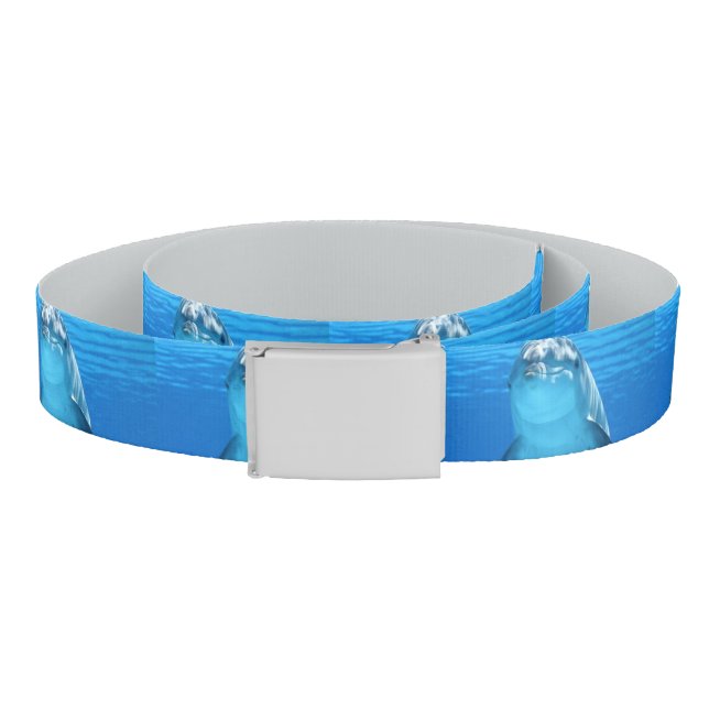 Friendly Dolphin Photo Belt (Coil)