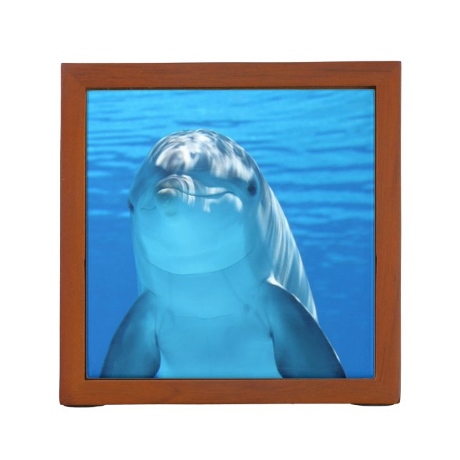 Friendly Dolphin Photo Desk Organizer (Back)