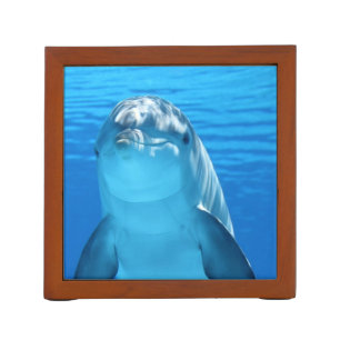 Friendly Dolphin Photo Desk Organizer