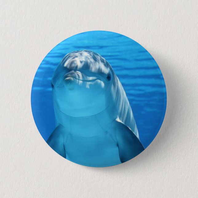 Friendly Dolphin Photo Pinback Button (Front)