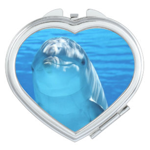 Friendly Dolphin Photo Vanity Mirror