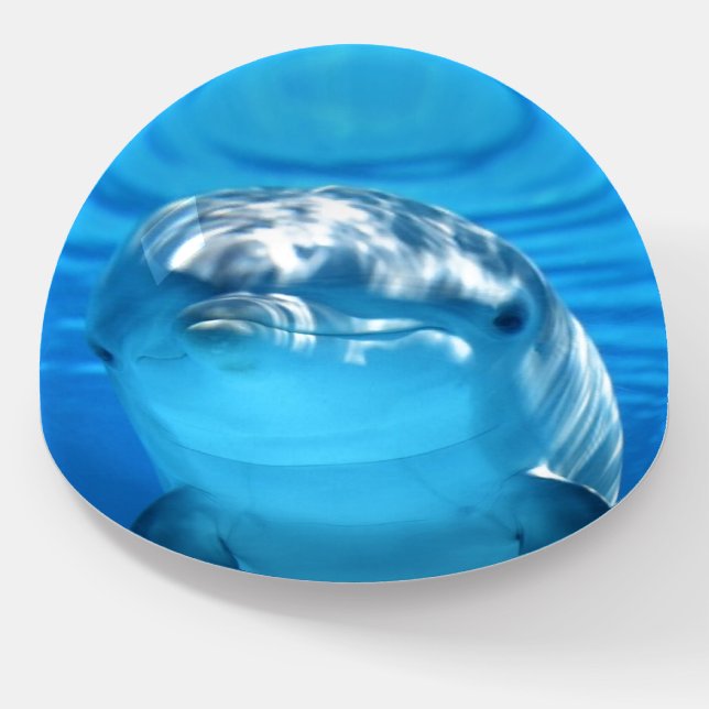 Friendly Dolphin Photograph Paperweight (Angled)