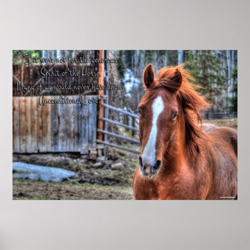 Friendly Dun Ranch Horse Photo  Poem Poster