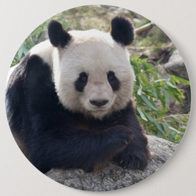 Friendly Giant Panda Button (Front)