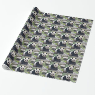 Friendly Giant Panda Wrapping Paper
