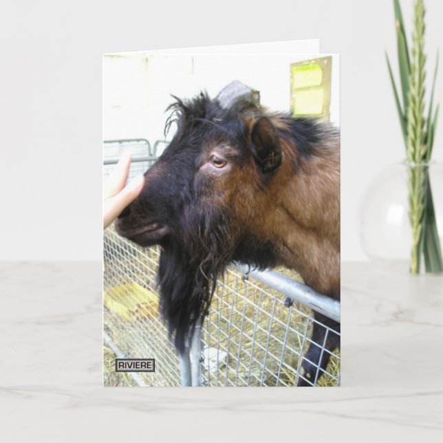 Friendly Goat Card (Front)
