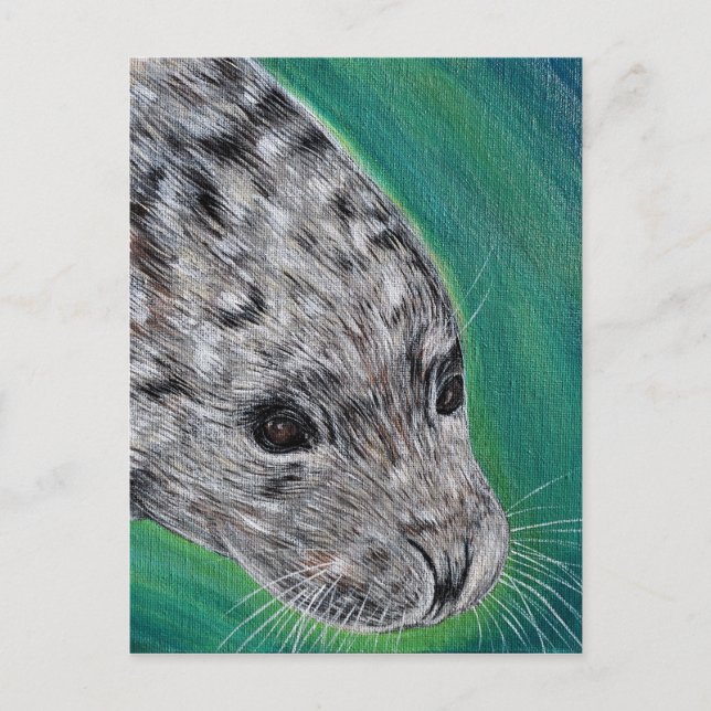 Friendly Harbor Seal Painting Postcard (Front)
