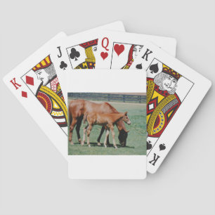 FRIENDLY HORSES POKER CARDS