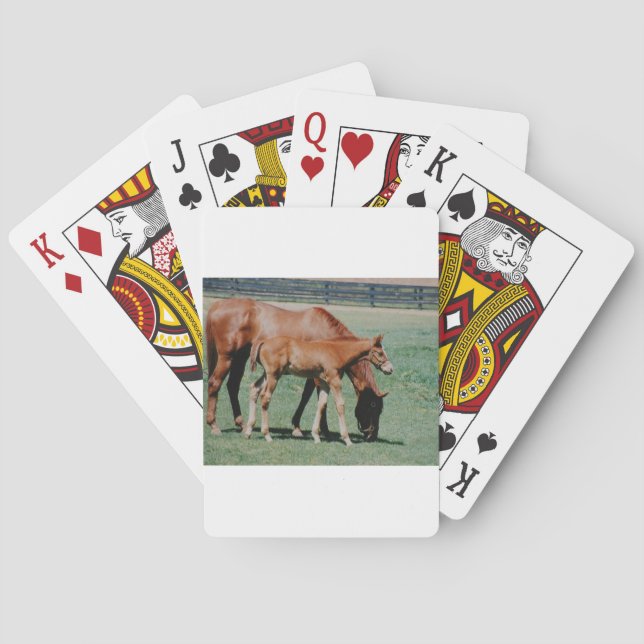 FRIENDLY HORSES POKER CARDS (Back)