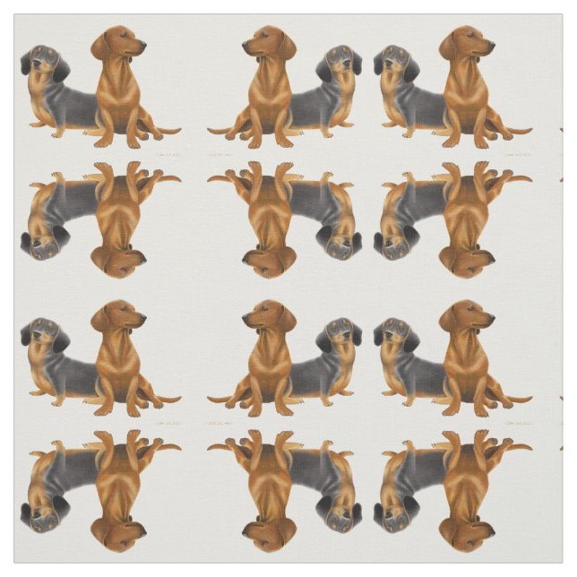 Friendly Little Dachshund Dogs Fabric (Swatch)