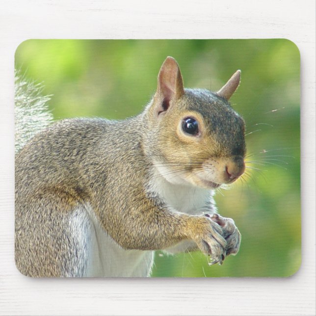 Friendly Little Squirrel Mousepad (Front)