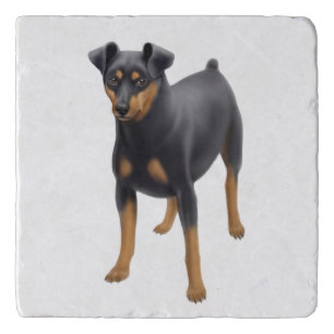 Friendly Miniature Pinscher Dog Stone Trivet
