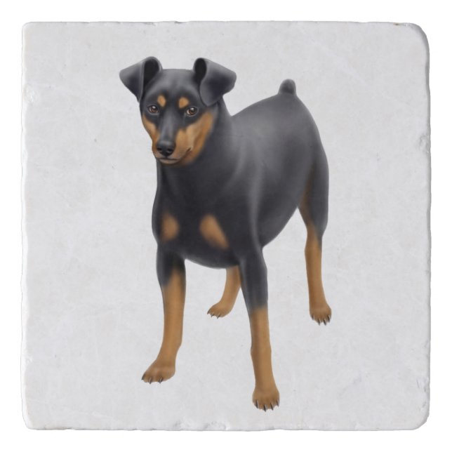 Friendly Miniature Pinscher Dog Stone Trivet (Front)