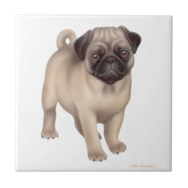 Friendly Pug Puppy Tile (Front)
