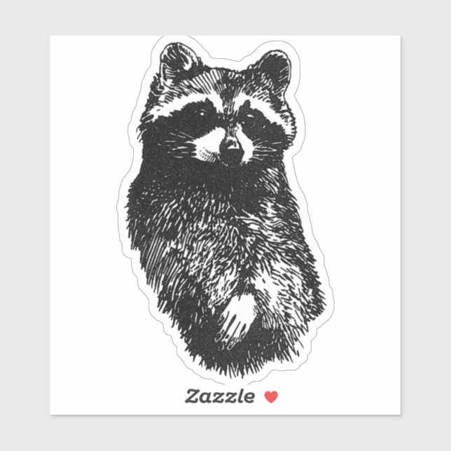 Friendly Raccoon Sticker (Sheet)