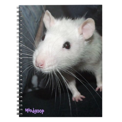 friendly rat notebook